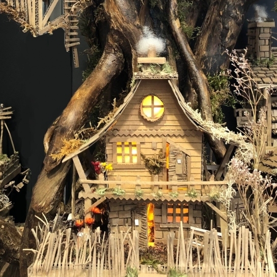 Exposition de François BLANQUET