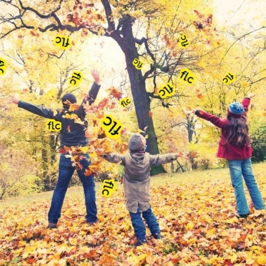 Stages vacances d'automne